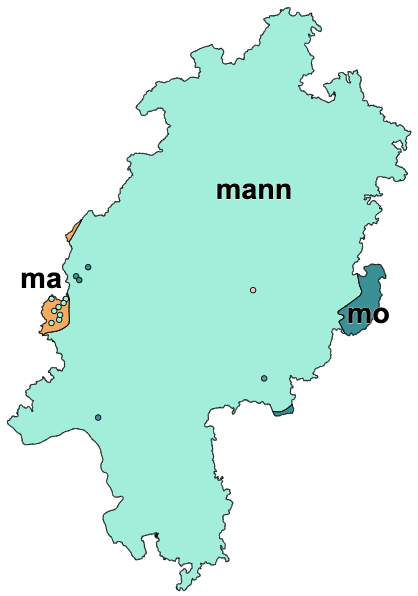 Mann