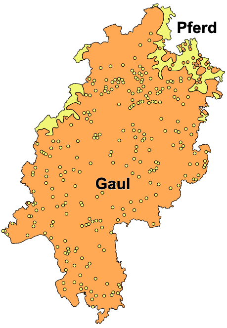 Pferd_Gaul