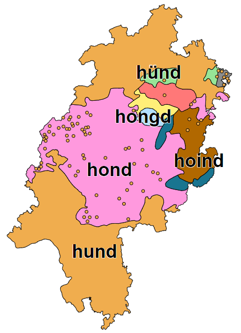 Hund